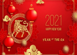 Chinese new year holiday