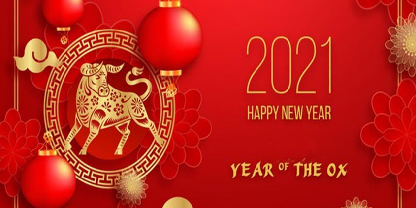 Chinese new year holiday